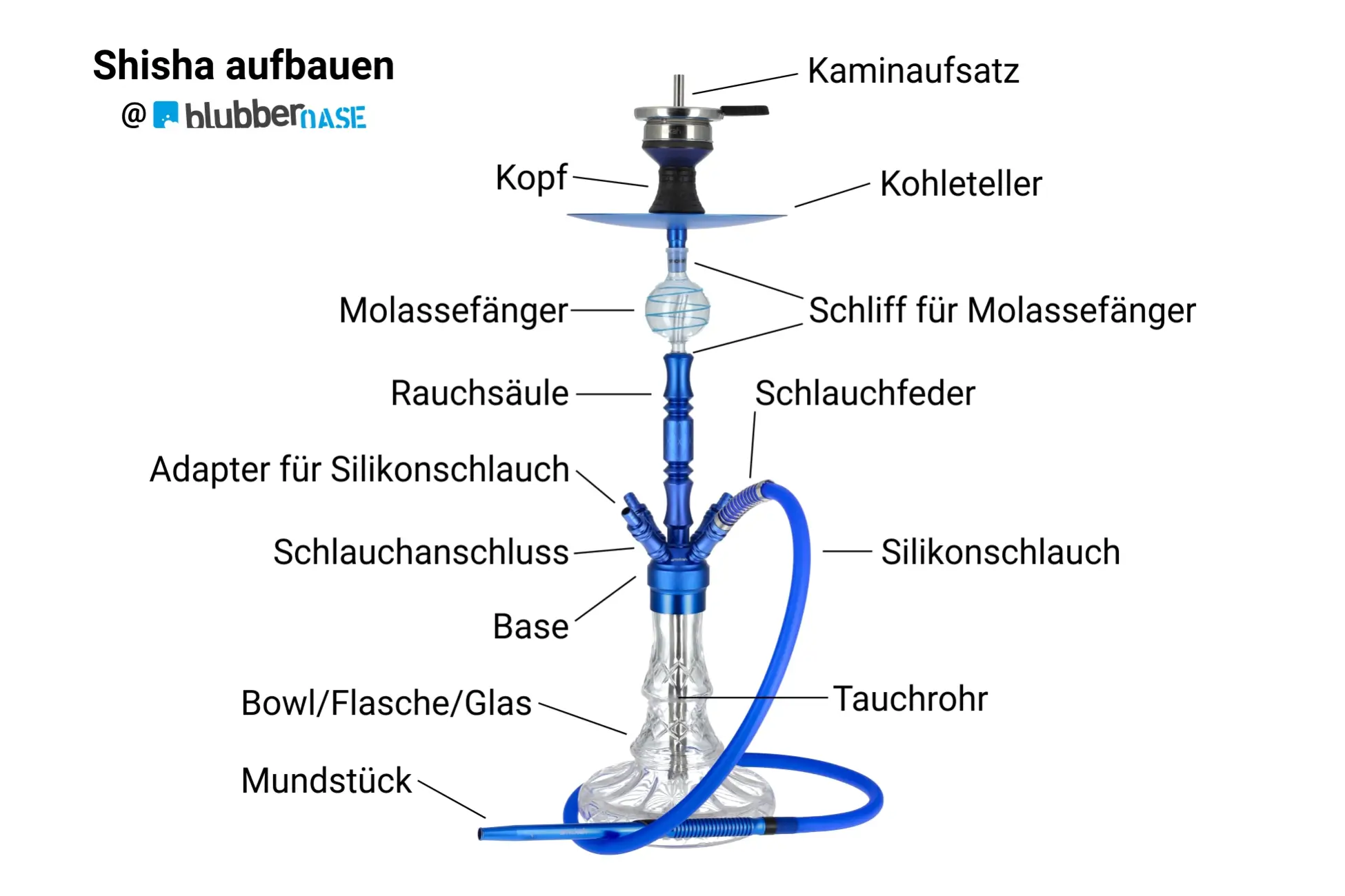 Shisha richtig aufbauen